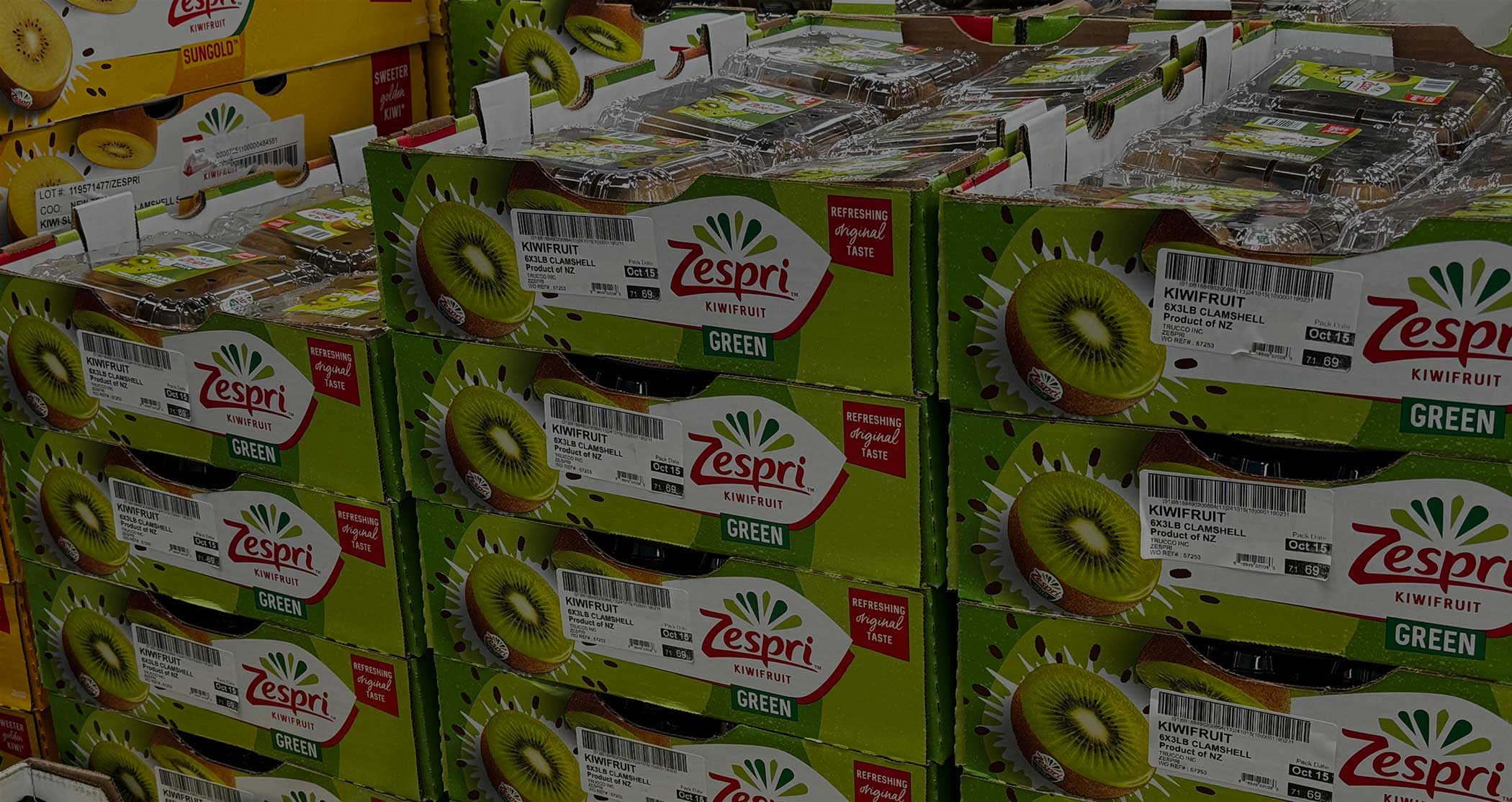 Case Study: Zespri Adopts SmartTE for Global Operations
